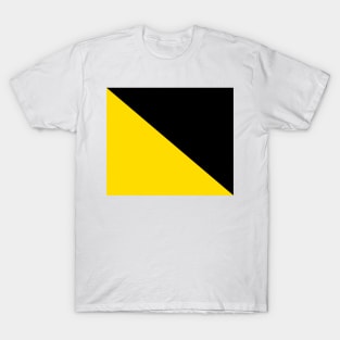 Anarcho-Capitalism Flag - Plain and Simple T-Shirt